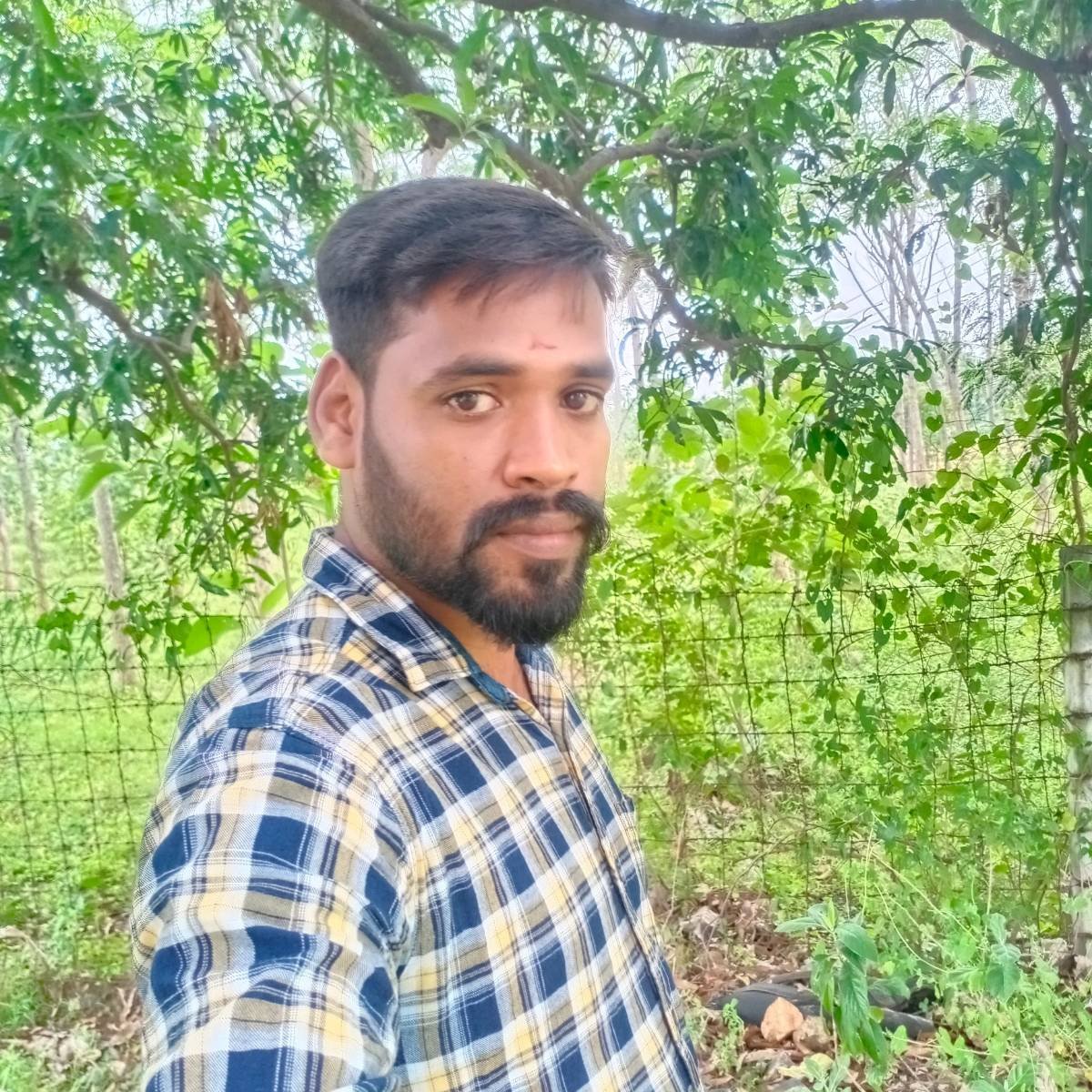 Ramesh T